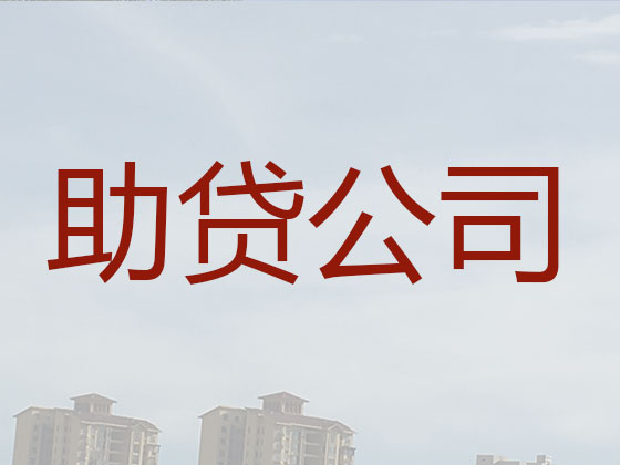 保亭正规贷款公司